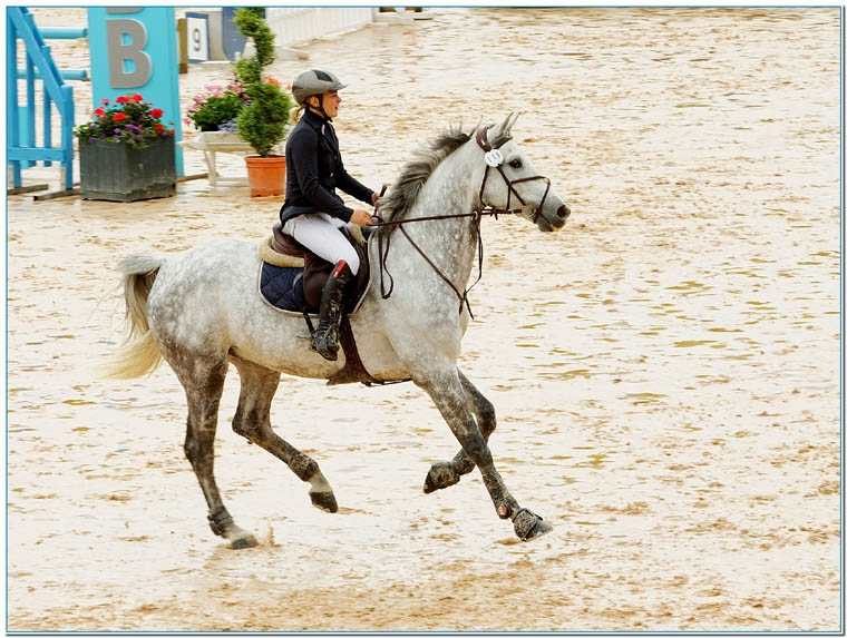 CSIO de Bourg en Bresse-2013_cadre.jpg