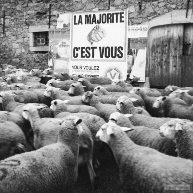 humour-Rene-maltete_17-387x387x0x0x387x387x1683394616.jpg