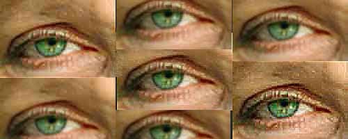 yeux verts 3.jpg
