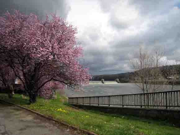 la Saône  en rose - blog.jpg