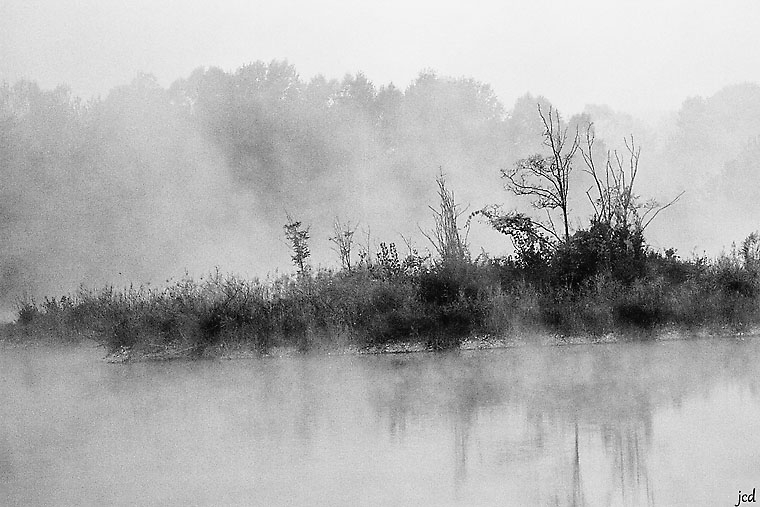 brouillard sur l'étang.jpg