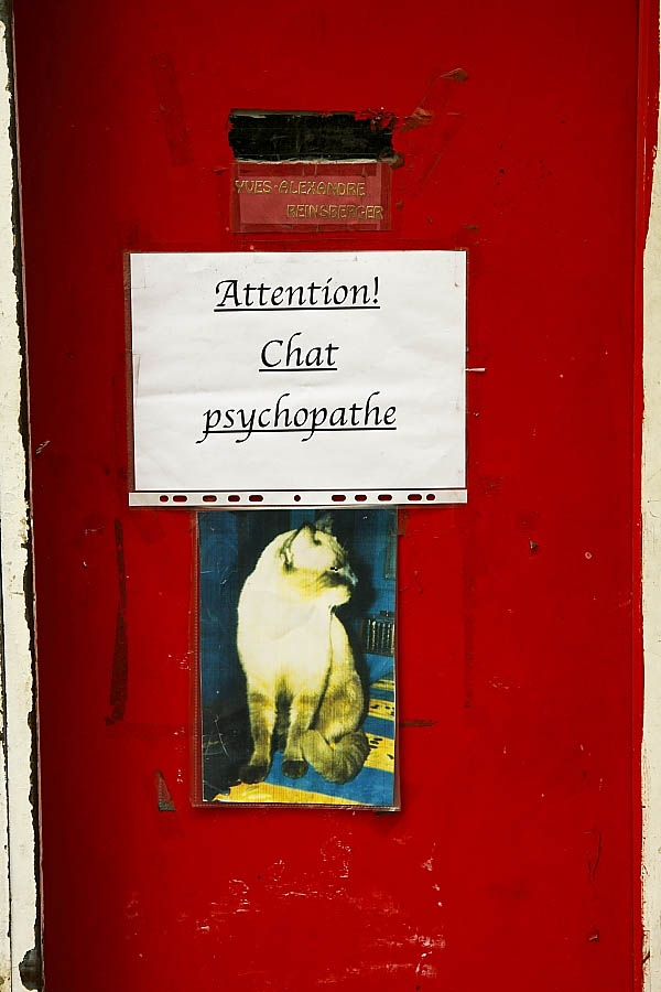chat psychopate - 3625.JPG