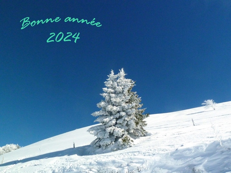 2024_le Grand Colombier_2.jpg