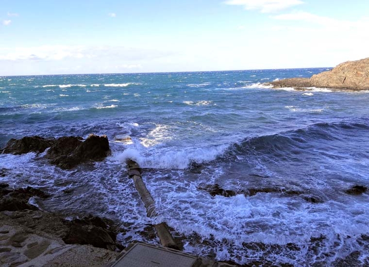 2024_Collioure.jpg